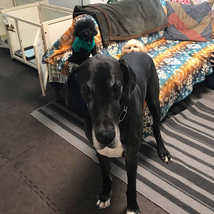 57b893a5 cf18 455a 8e52 591cd730062c 1541975826351