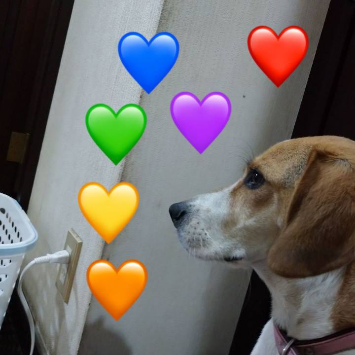 57b89cb1 fd2a 4f06 9065 624a30cecd9a 1594549732164