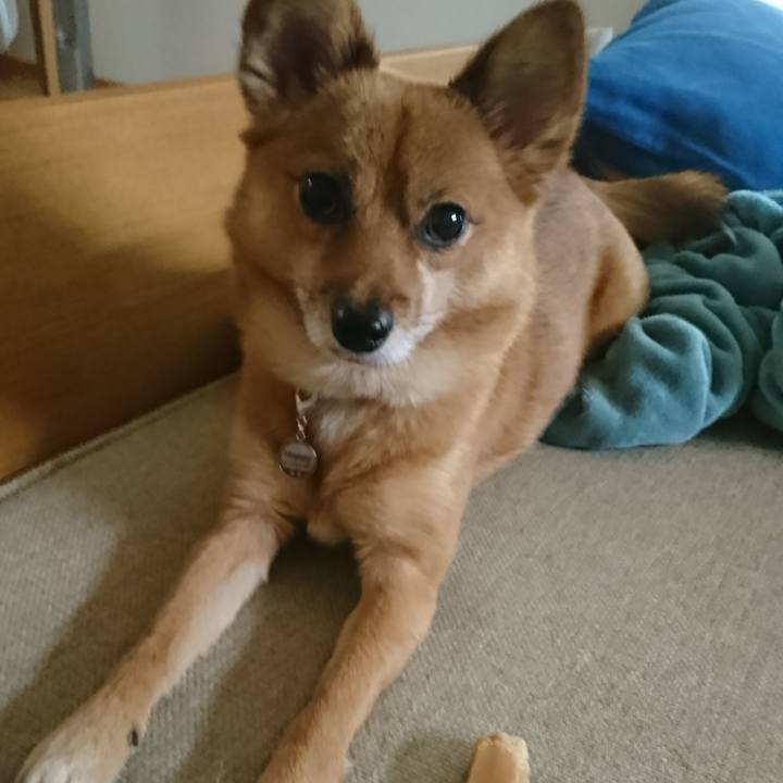 57b89fda 3115 489e b02c 66b49953d27b 1544958997854