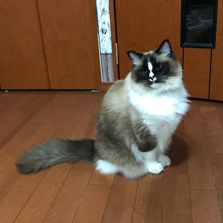 57b8c0c2 c7fb 46aa 9241 b5947ac26617 1520547922737