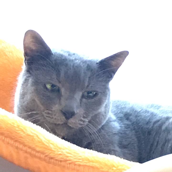 57b8e5a6 e808 4424 92a2 9f772fa8685b 1547888650099