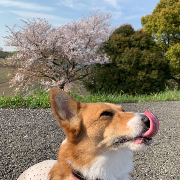 57b8eab9 b5ac 4d8c aaa6 63cdf5e69076 1586247553821