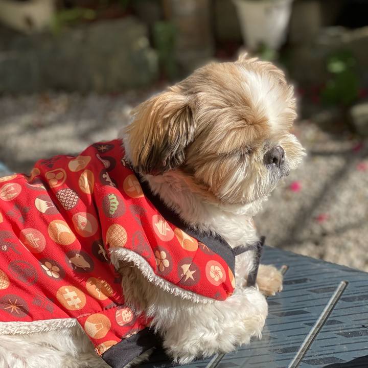 57b8f01e dc32 462a 8194 94aa9c504b52 1641270150660