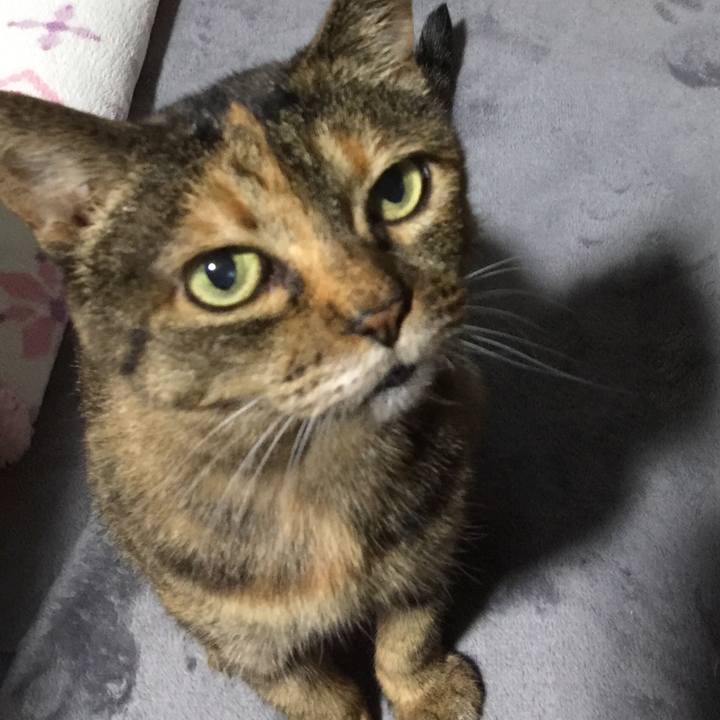 57b90373 5c31 4a1f 98cd a0b4aa604d7f 1533290196368