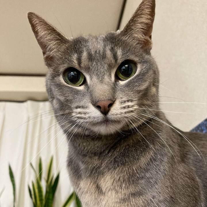 57b958a4 227a 4906 ac9e 7a1c45cb6f49 1613397076560