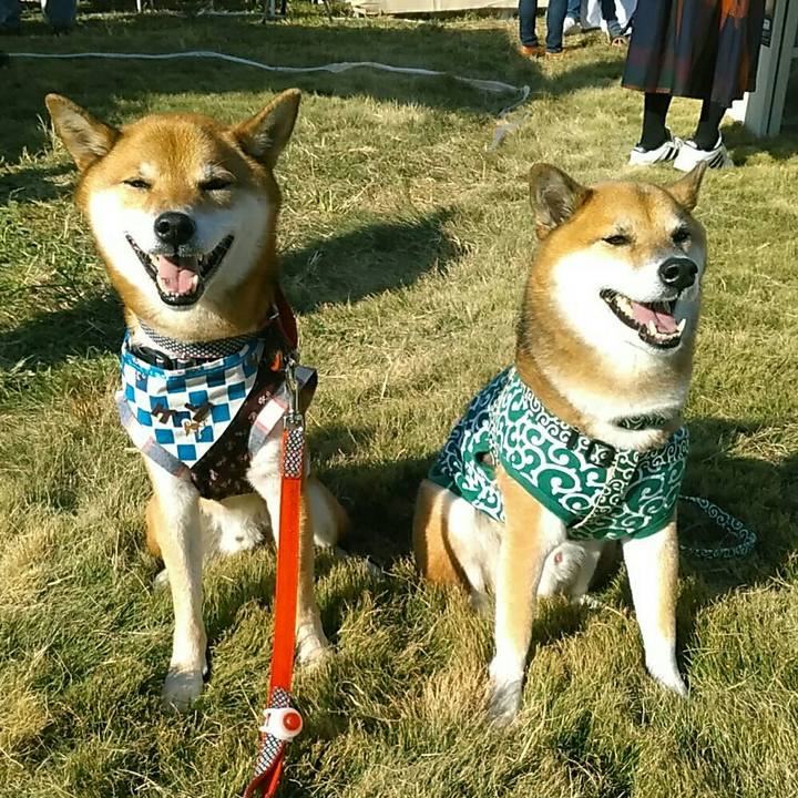 57b966f4 82cb 4089 9396 9b9026335456 1573915399269