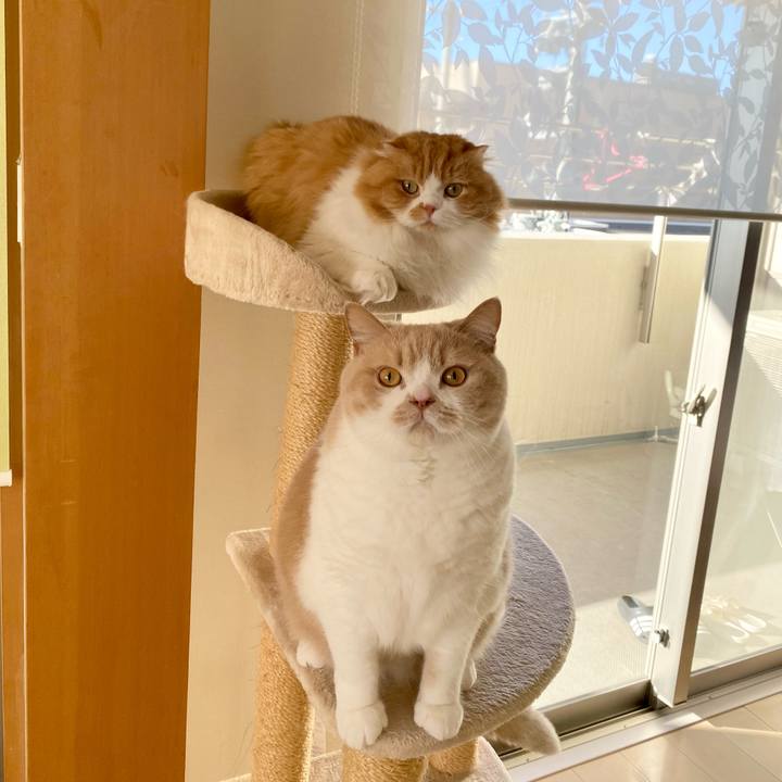 57b976d8 c4e9 4a84 be81 cd6f6c60d0dd 1686188496461