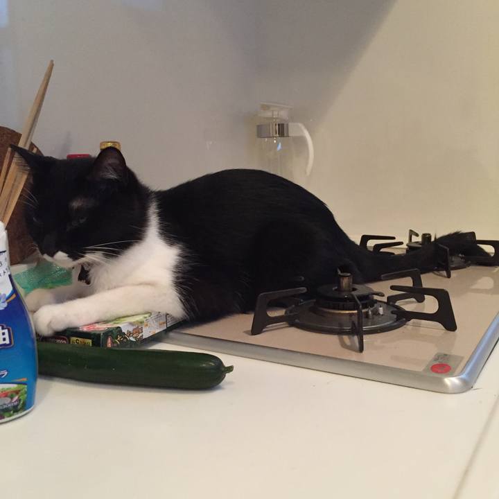 57b9a56a 0a3c 47fe b42f ec749028419a 1533477503504