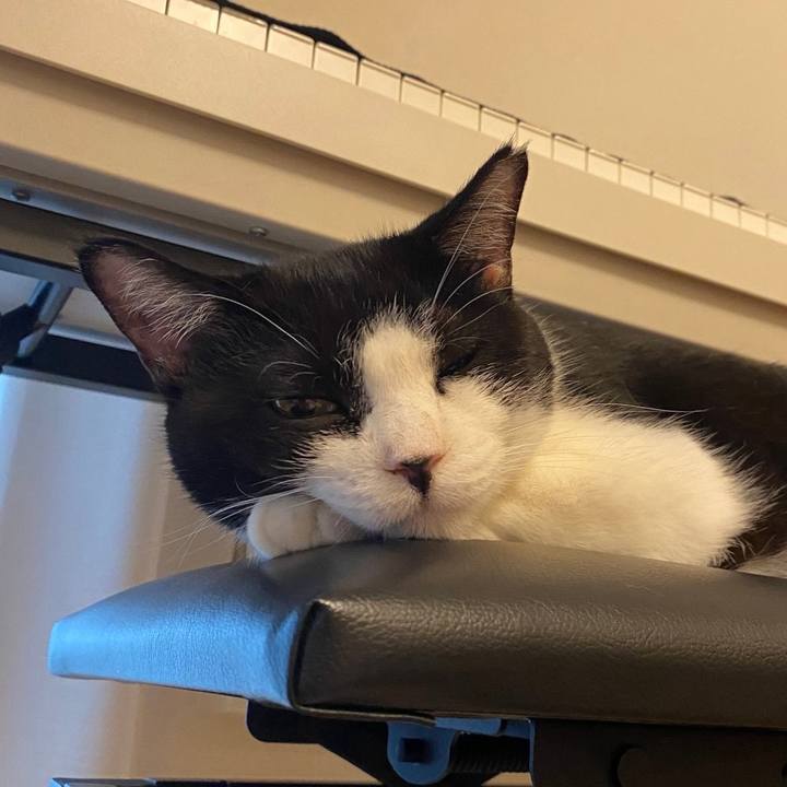 57b9c443 3e9a 4a74 b8ba 1f7a1351261e 1720007655057