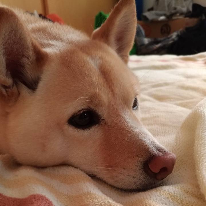 57b9cbfc e652 4fa0 89bc 921f1b314cc7 1609197348845