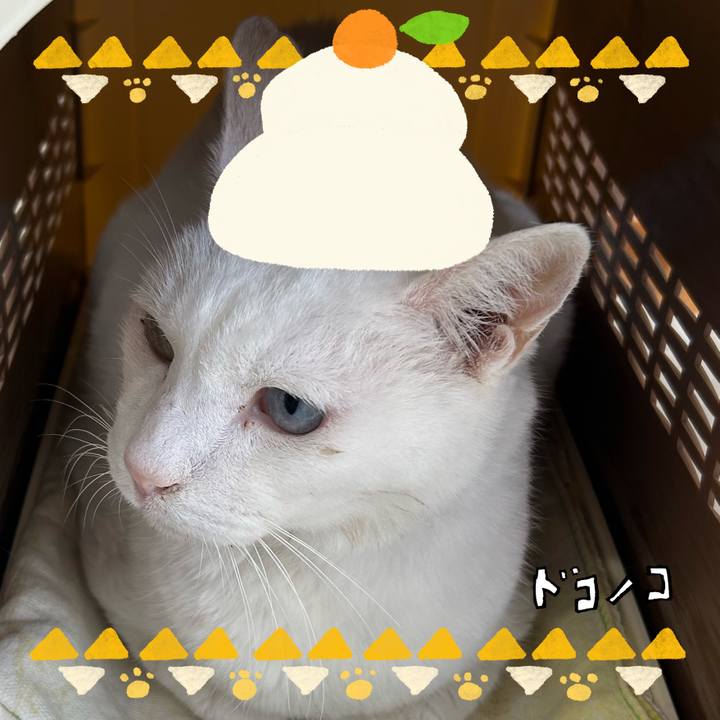 57ba136d 5f63 4a0e 8a4a 94eeda8cf677 1704097299113