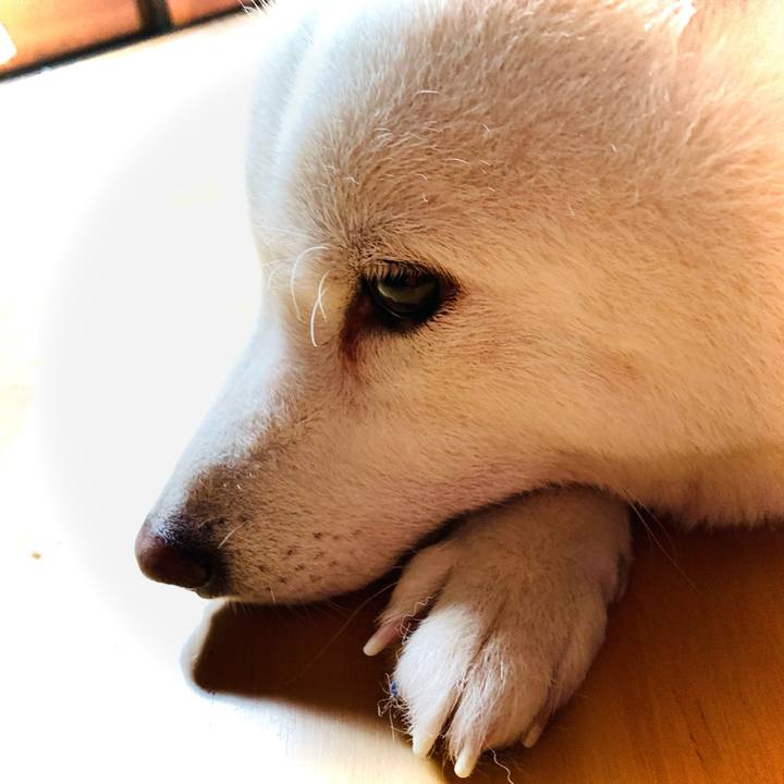 57ba1852 6e3f 4a5b b443 8b9718f185b2 1606458313682