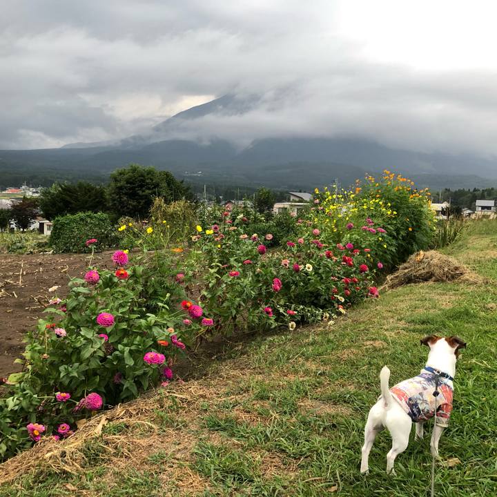 57ba28cf 6dde 4c62 8223 c88fb1c73cec 1599662109338