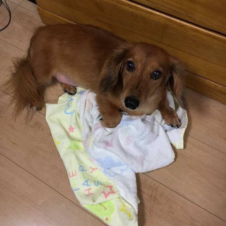 57ba2fe0 73ba 425d 8a67 7c76f0ec6d4a 1537622079831