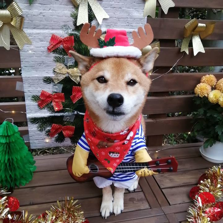 57ba529d 189c 4584 8591 6edb12c35ebb 1608304539068