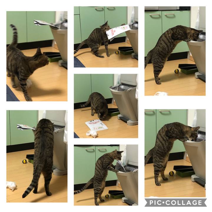 57ba652e e5d9 4e8d 978d fe6310e7a048 1591071978330