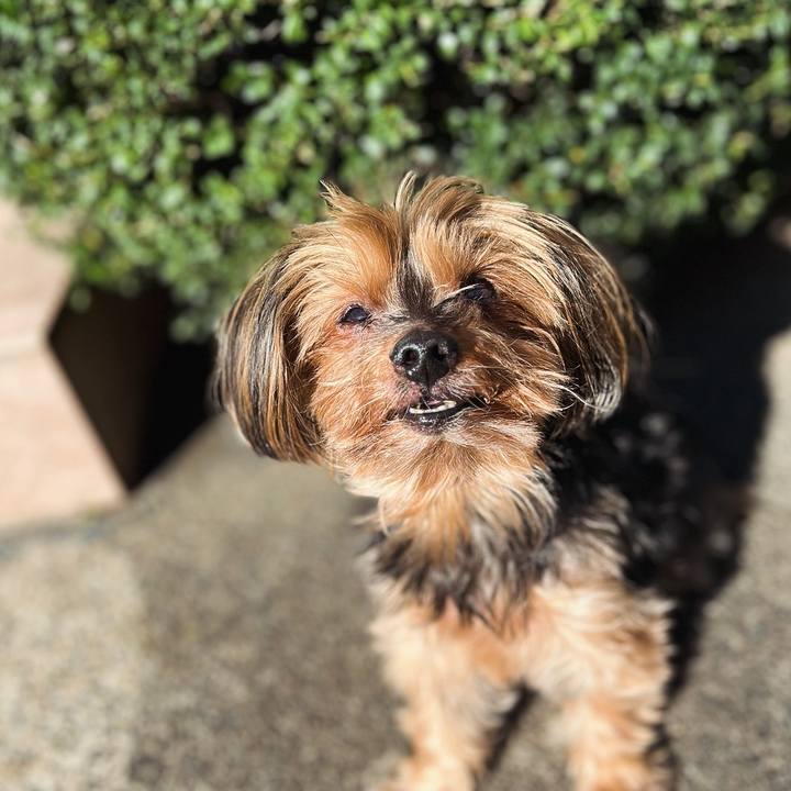 57ba9d8c 8b37 442e 974a d1a7c0592949 1699936109124