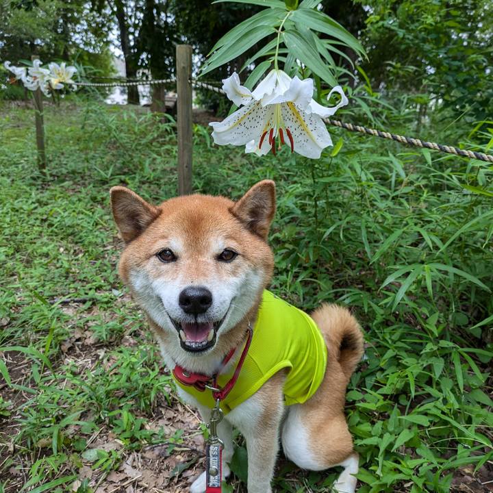 57bab30c b82d 45f7 ab70 74794c282ded 1721028739594