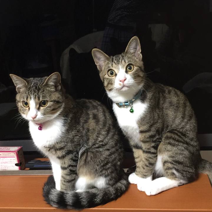 57baeaab 5318 48b0 b754 cfb469b59b18 1660368202348