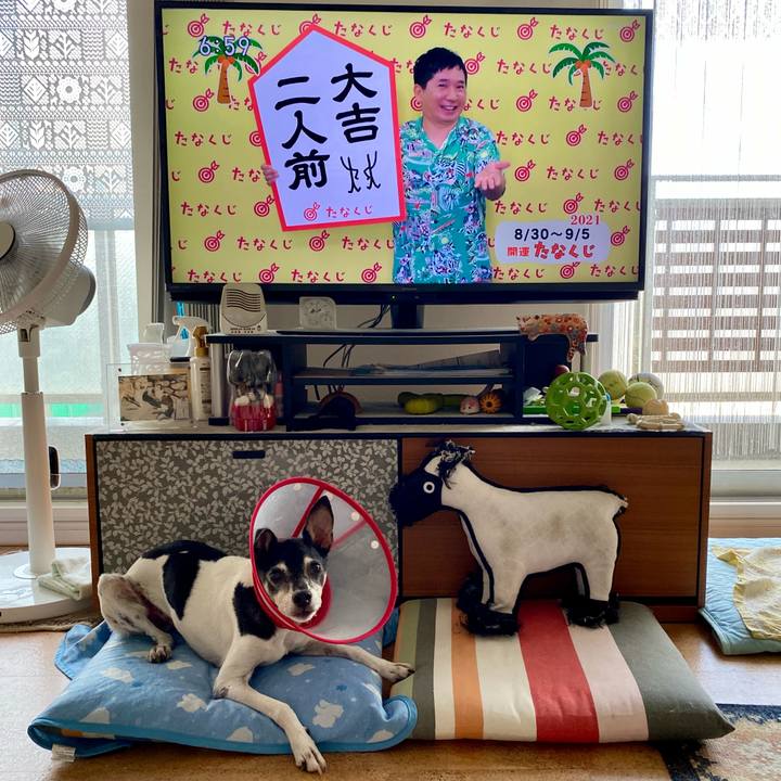 57bb05e9 9c9b 4beb 82ed aea6d27774be 1630275821501