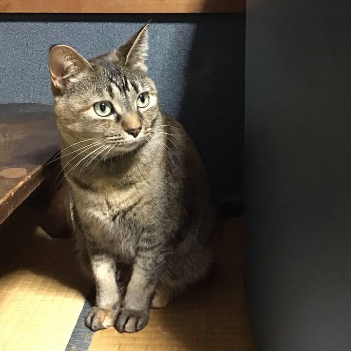 57bba622 0b98 432e bcd9 d5500be12a46 1708428755566