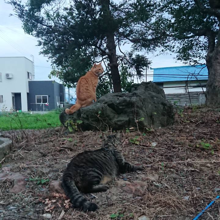 57bbcb63 7924 4cf0 bc40 aa81ee896083 1660383813055