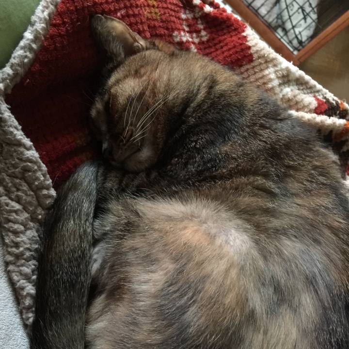 57bbd60f 5189 4212 9cda 739648e45e0a 1510700370397