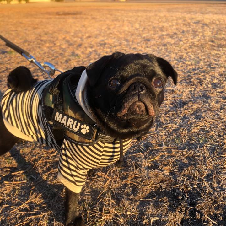 57bc4736 bc9e 4e3c bc2d a5fe0d947e78 1613777629387