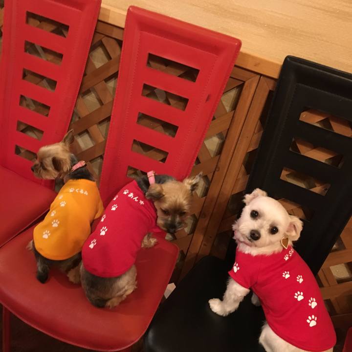 57bc4b16 5db3 4263 8bdf e7357f3e98ee 1511990805584