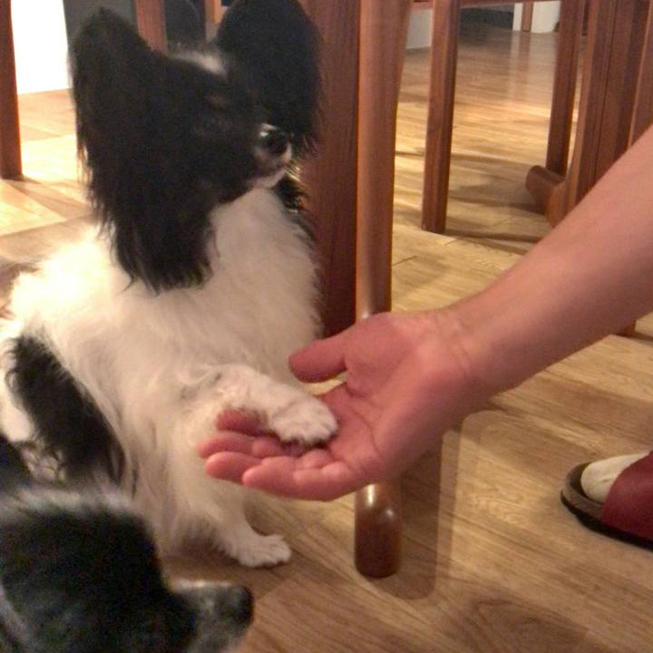 57bc51f2 ea9c 4d5d a2bc 2f8502f9f20d 1526204434655