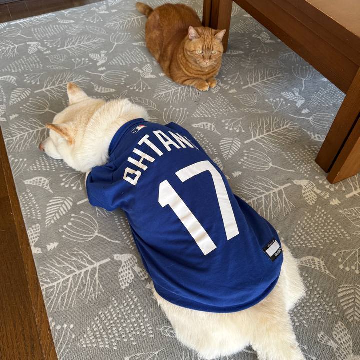 57bc747c 50e4 4cf6 a4ef bd4692eabb57 1773536669255