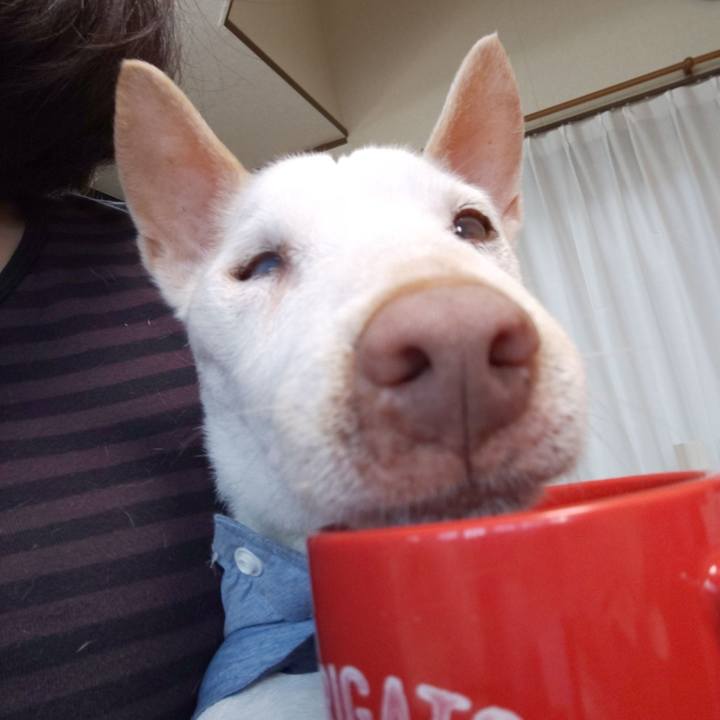 57bc7995 6059 4bf1 9b9a 9d5dd34b620d 1573949324694