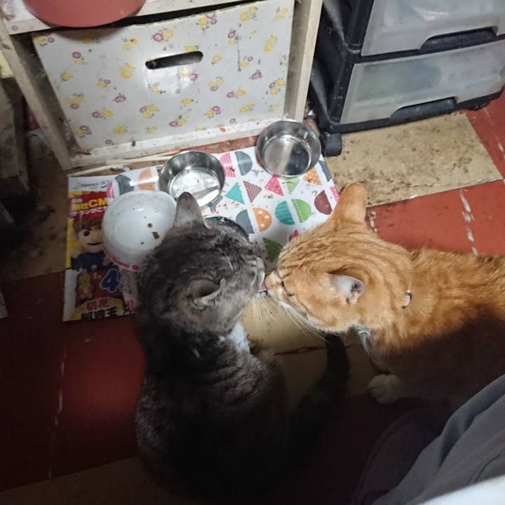 57bc84cc ec82 4937 adfe 89d5b771cd96 1589313134455