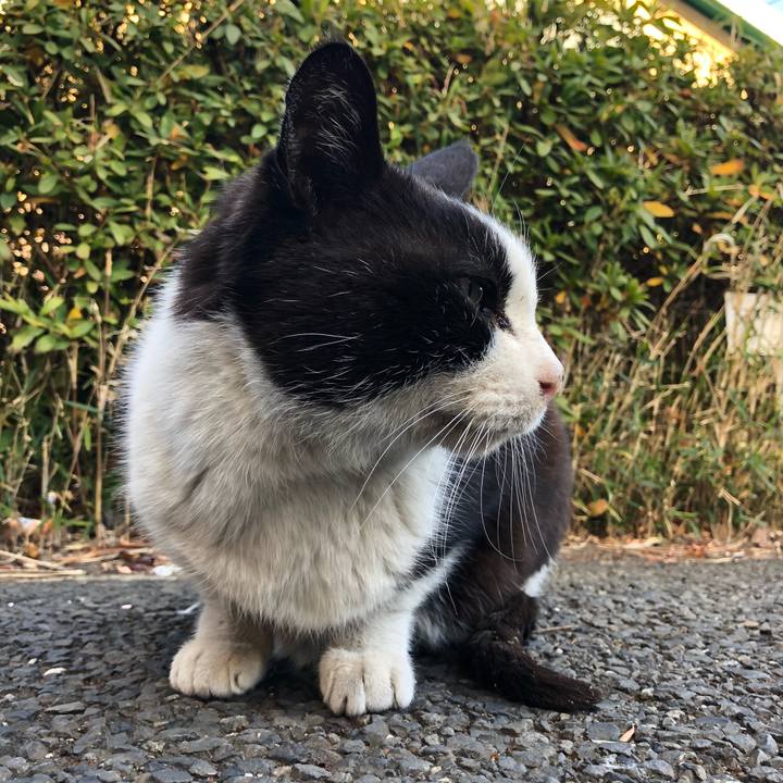 57bc960b fb61 4fd2 bcf4 cee9c1c2e144 1547196032362