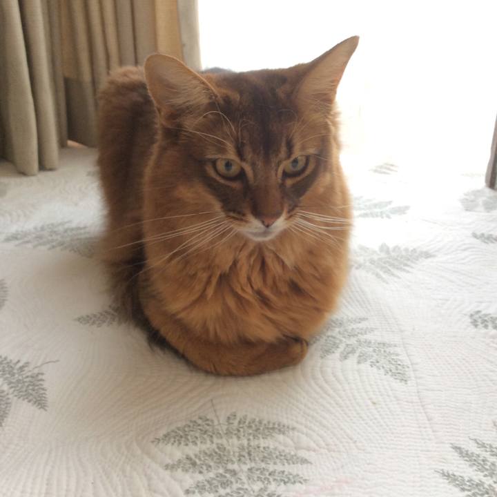 57bcf060 4a90 4faf 9bfd 7b23b3aa4513 1615789613496