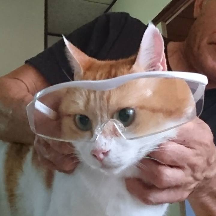 57bd2655 2c65 4ea9 8d91 a8a240b35e73 1569988295199