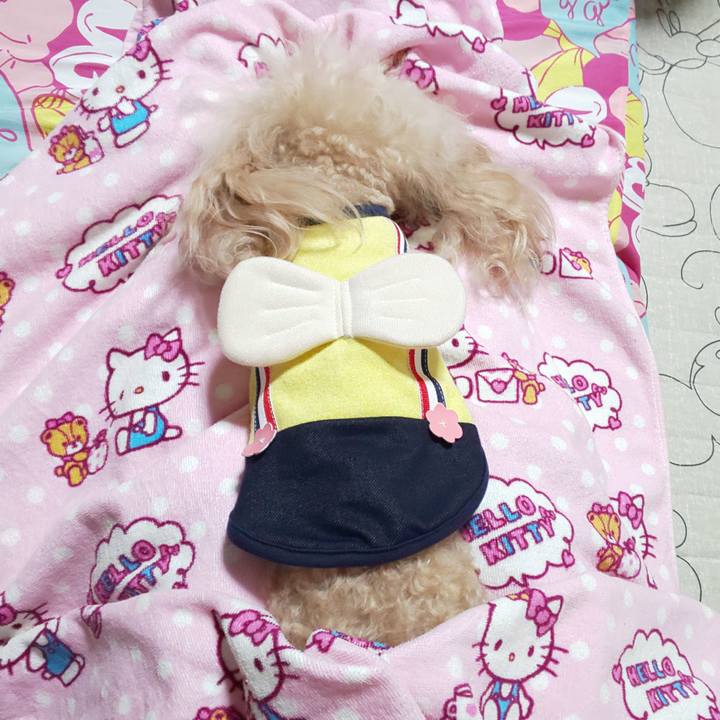 57bd349c 7d08 4c17 9591 264b9782b6c3 1589373353338