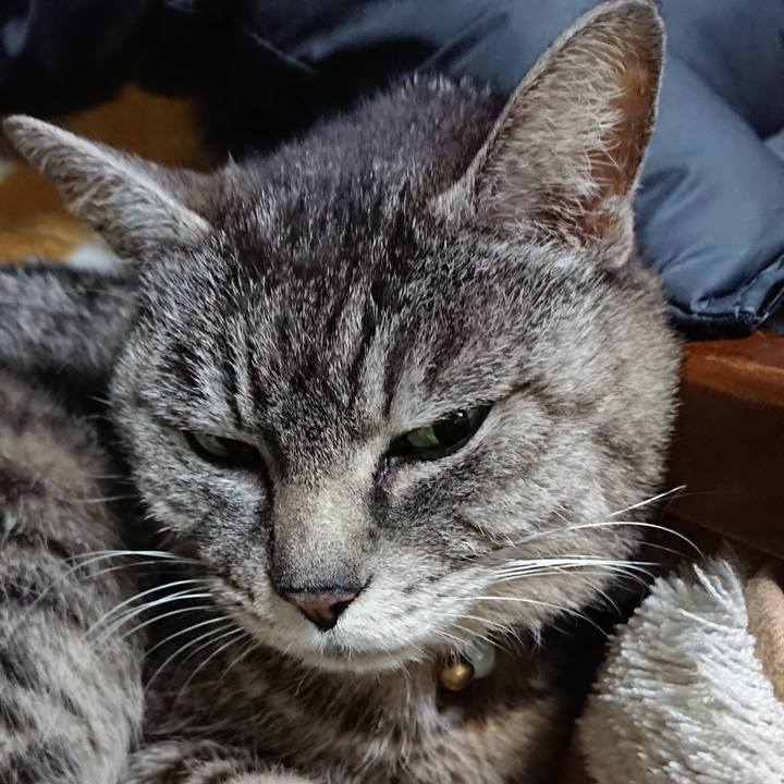 57bd45a4 4e8f 4a76 86ef 0a1d87aced2b 1550920580120