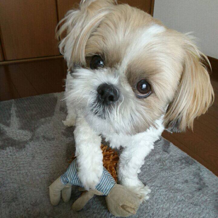 57bd5aa6 7777 4285 bc23 d4ac237f55f7 1555907268913