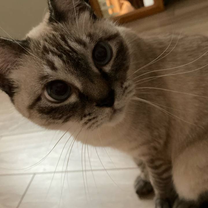 57bd63f1 aee2 4273 93c1 c22d6fe9e064 1729828481509