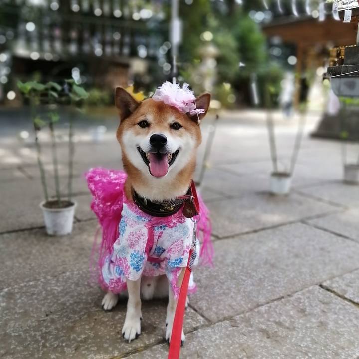 57bd6b30 35de 4eb5 a8f6 f119a43cc377 1628080952987