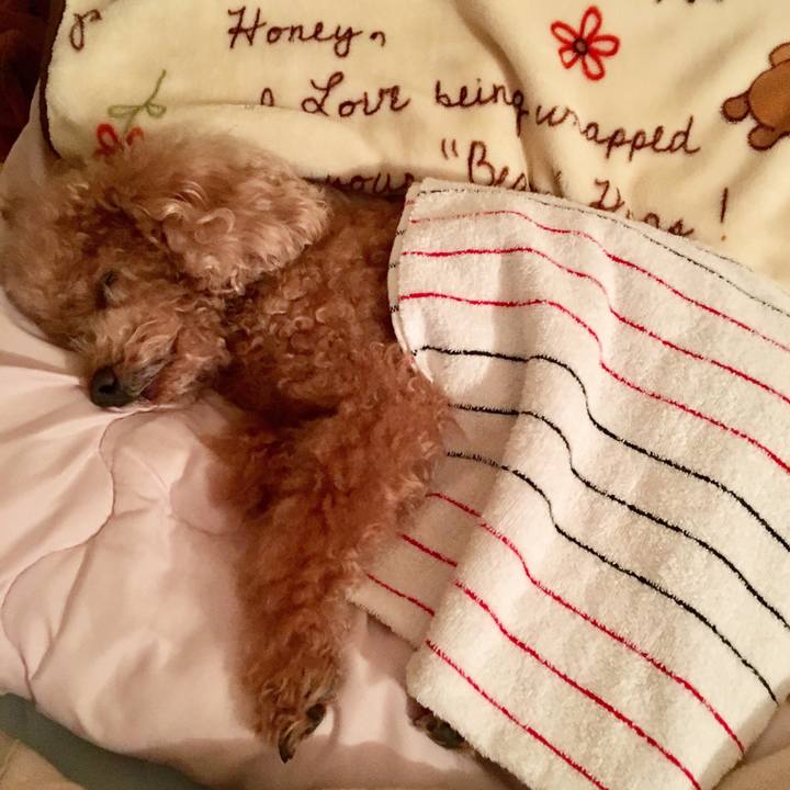 57bd7c52 bdaf 4895 9fce 9c196aba9ad4 1533124605012