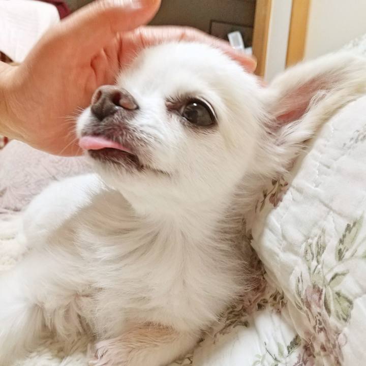 57bd9566 5300 41fd a81a baf858d6a223 1594815341003