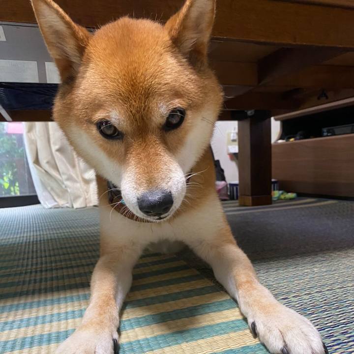 57bda8a3 c0af 49e8 b49f 36fc04a10691 1594434254053