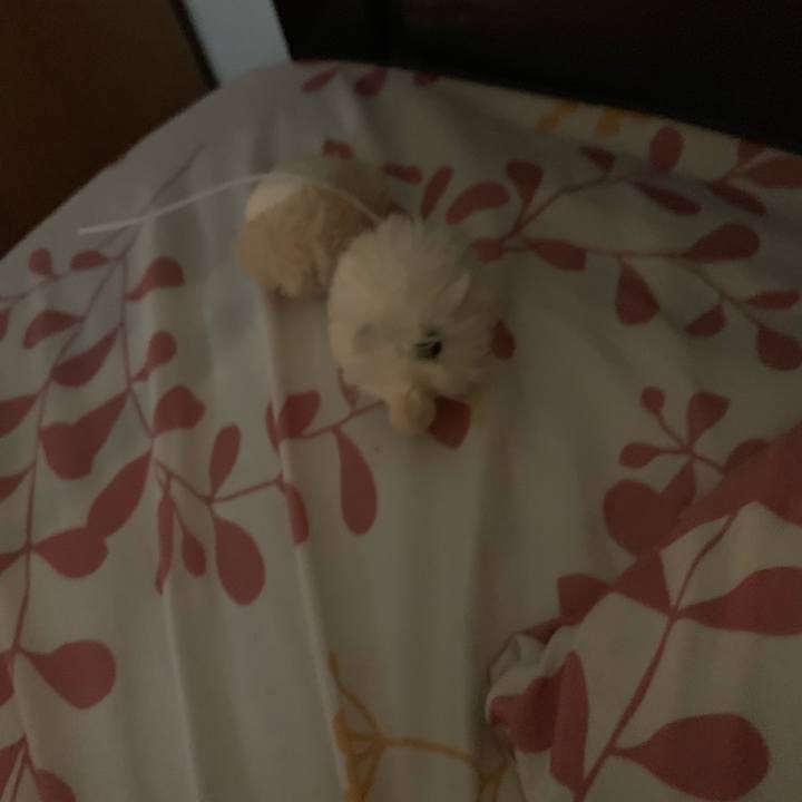 57bdc18c 297a 4203 bb5b 1f3693cd466d 1546832599060