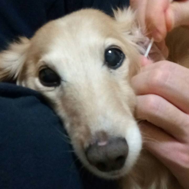 57bdf080 5559 44be be67 c8e7115ef1c8 1546256503296