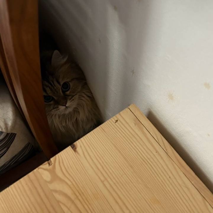 57be118d 3bf9 45da a128 c759c61c327b 1762604402856