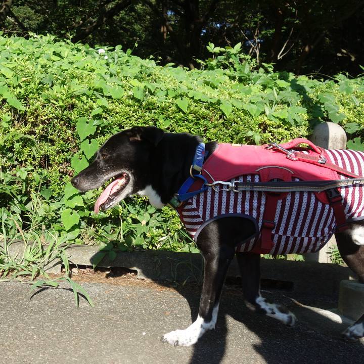 57be2560 17e7 4a8a b9a6 1c45c55042c9 1690242212863