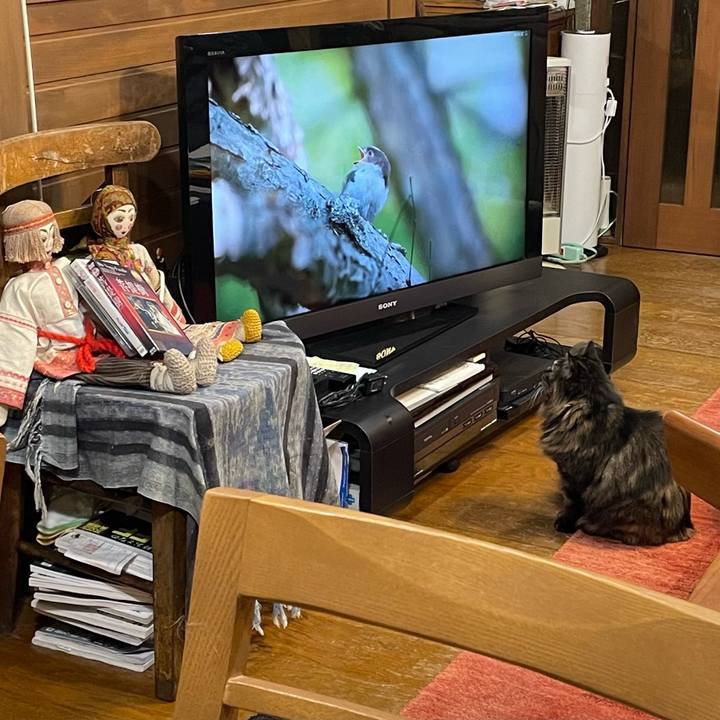 57be354f 2436 4eb7 967b 17e3360b5d05 1711927832640