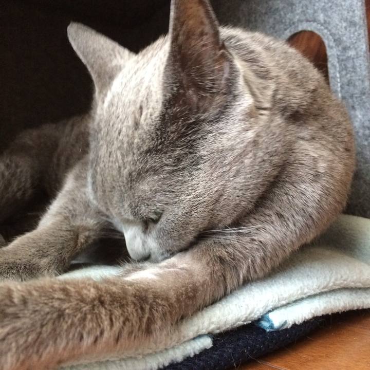 57be5488 ba88 4504 81c4 74ba7e88f5a4 1522880923539